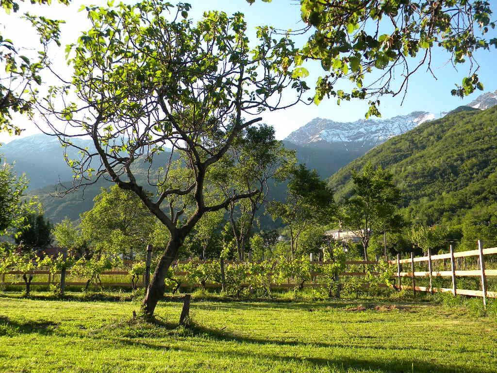 B&B Autin Bruzolo Esterno foto